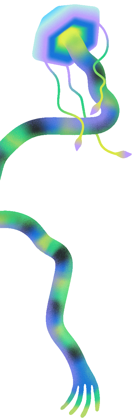 Jelly Fish 03